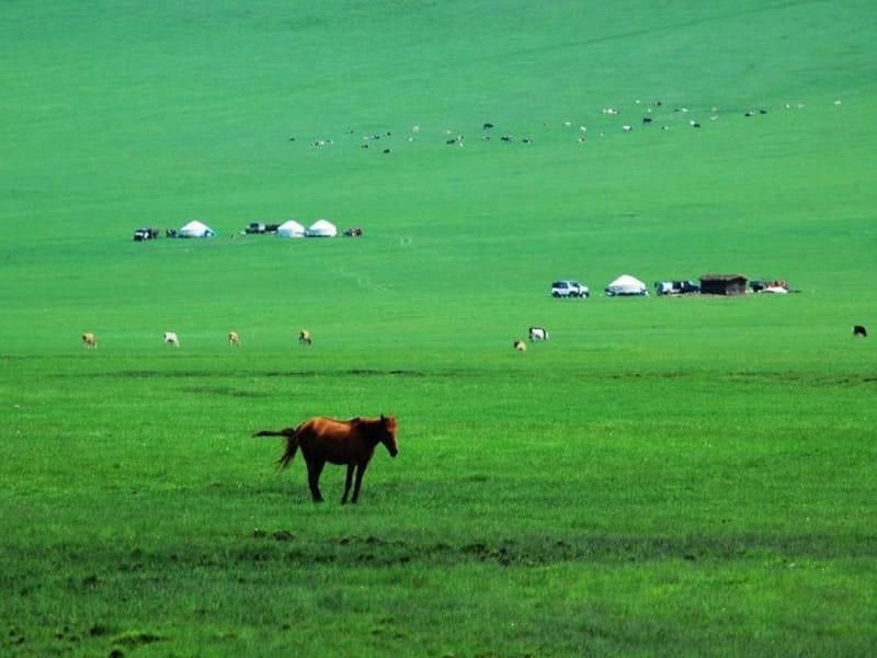 草原音乐图片_纵览新闻