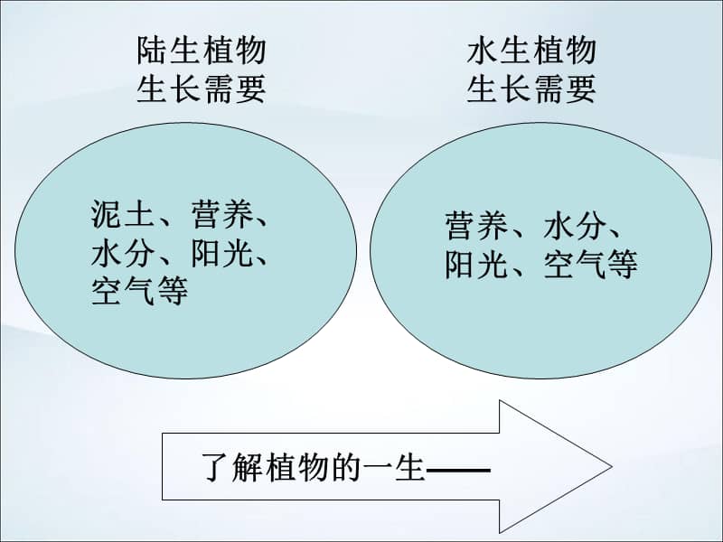 教科版科学三年级上册17植物的有哪些共同特点ppt课件共12页ppt