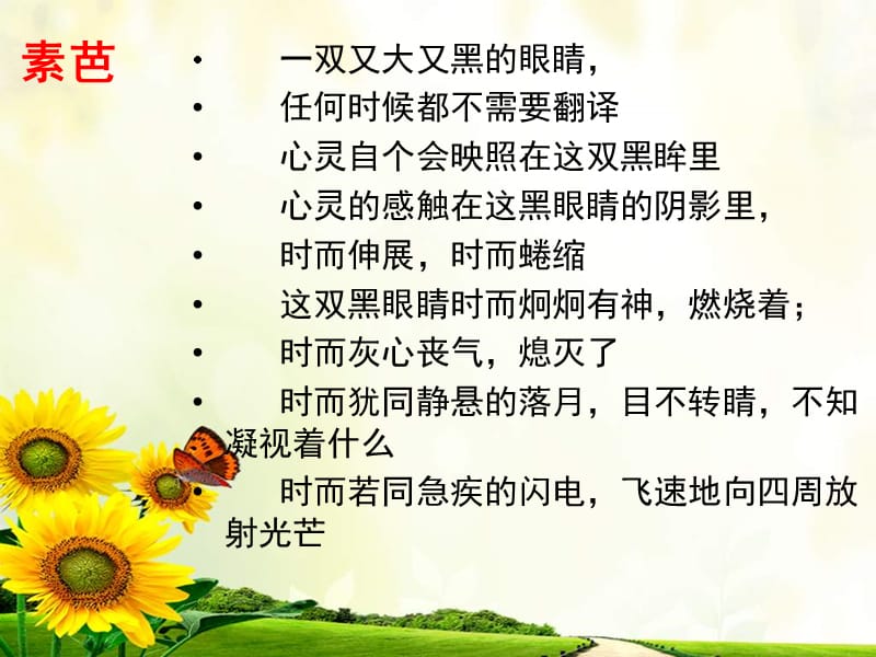 2012人教版选修素芭ppt课件ppt