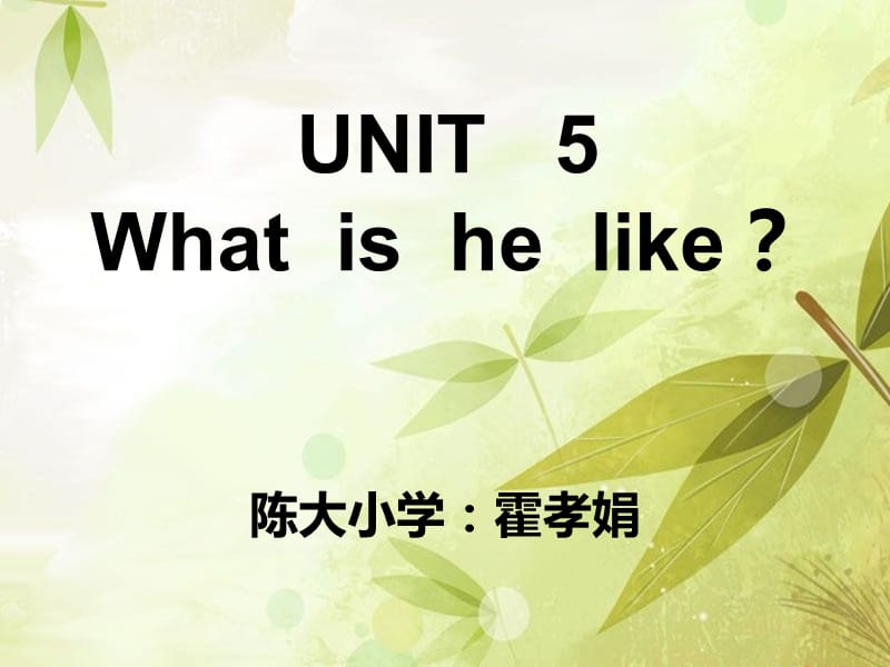 陕旅版小学英语六年级下册unit5whatishelikeppt课件2ppt