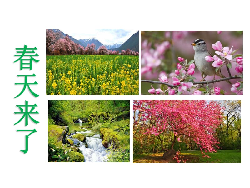 2018二年级下册语文课件2找春天人教部编版pptx