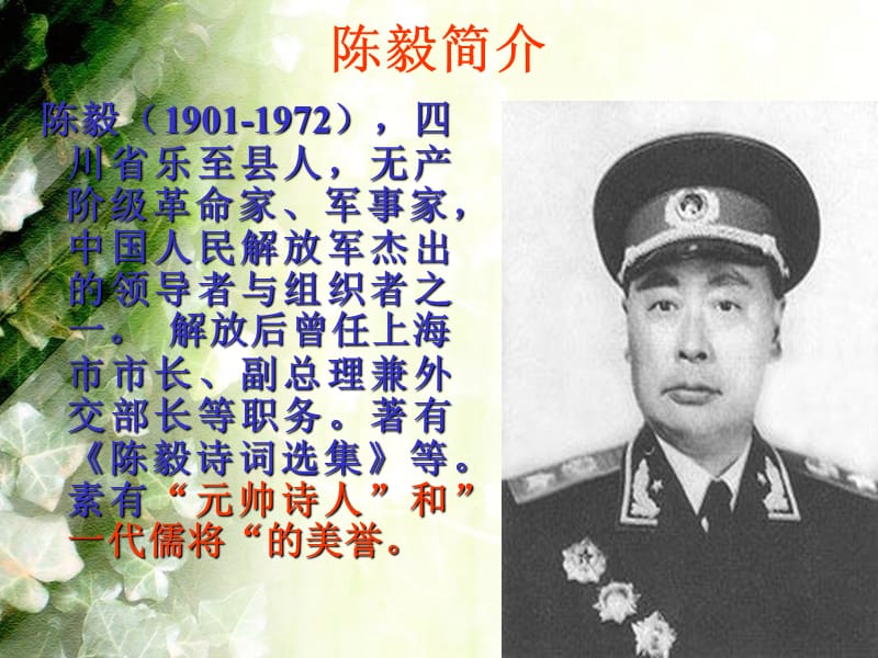 北师大版语文七年级下册第三单元梅岭三章课件2ppt