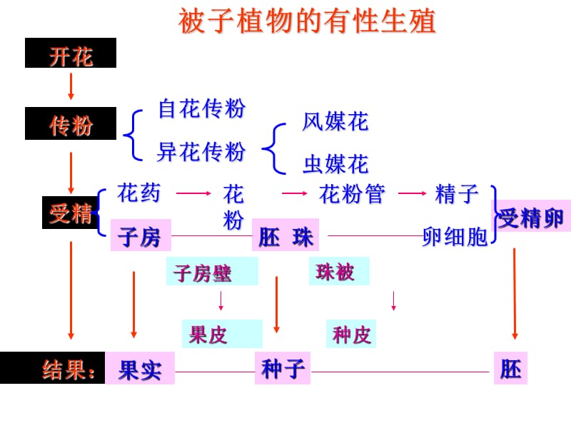 浙教版科学七年级下册15植物生殖方式的多样性第2课时课件1ppt