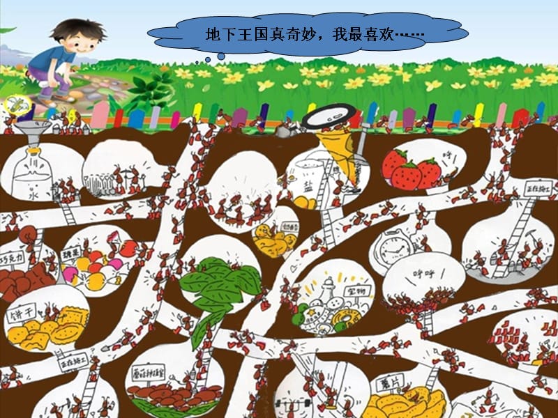 冀美版小学美术二下蚂蚁的巢穴课件ppt