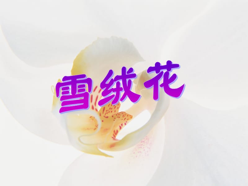 花城版音乐五上第9课歌曲雪绒花课件1pptx