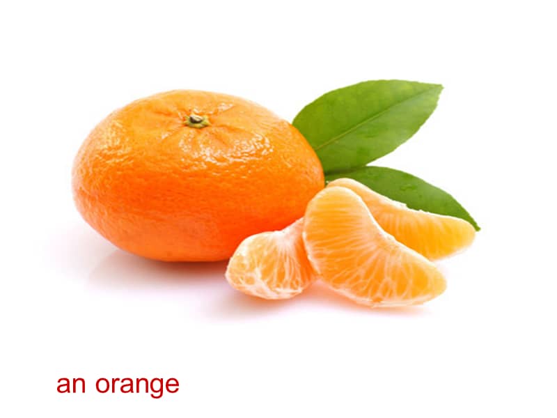 人教精通版英语四年级上册unit3itsapineapplelesson15ppt课件1ppt