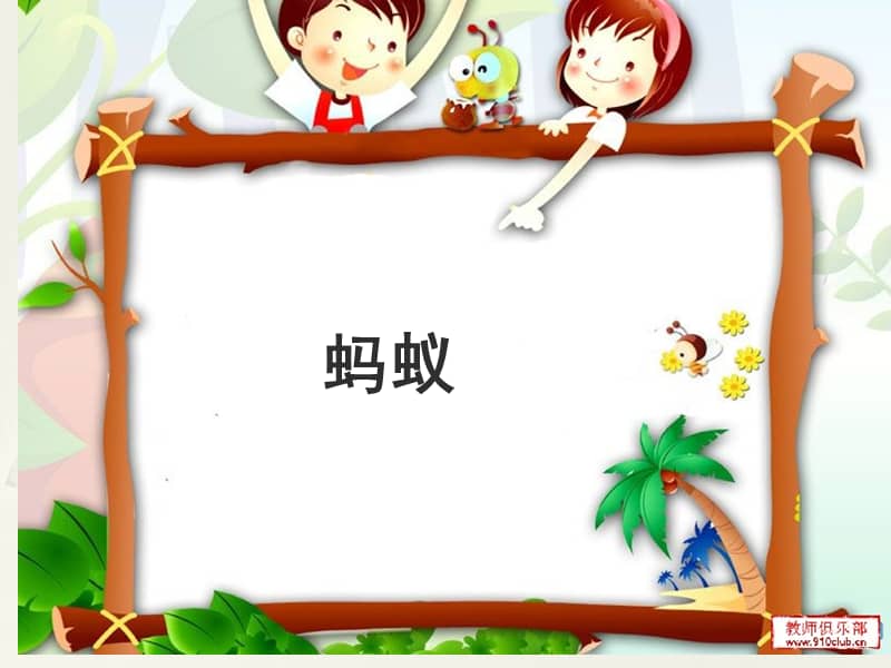 大象版科学一年级上册23蚂蚁ppt课件共20页ppt