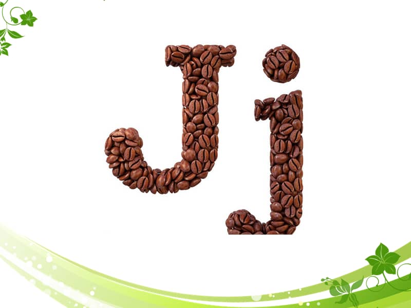 人教版精通英语三年级下册unit5itsaparrotlesson252ppt课件ppt