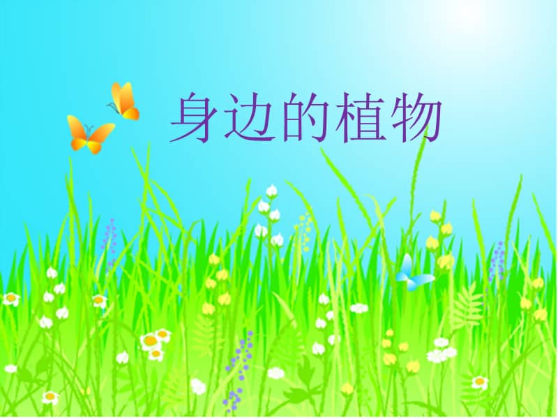 冀人版科学一年级上册4身边的植物ppt课件共17页pptx
