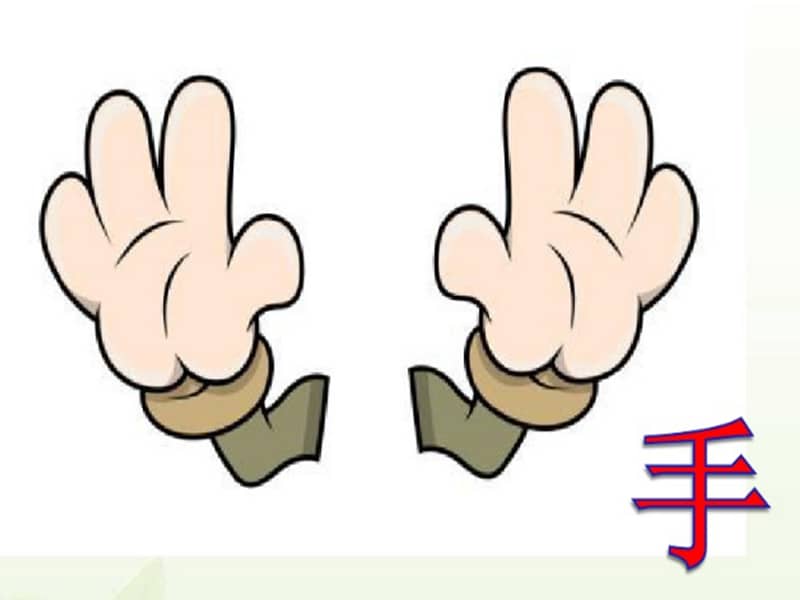 青岛版六三制科学一上摸一摸ppt课件ppt