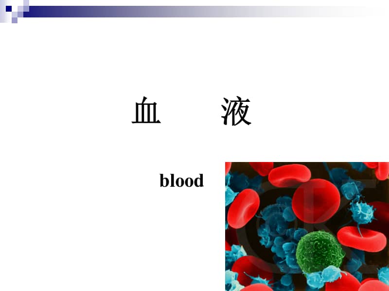 大学精品课件血液ppt