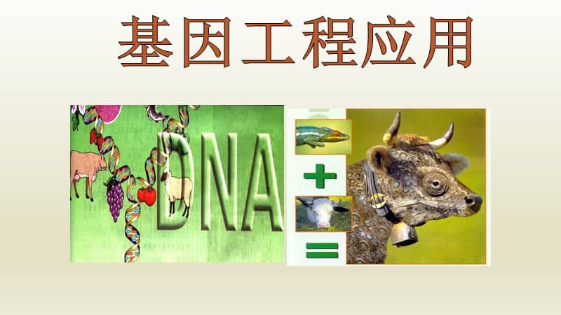人教版生物选修313基因工程应用ppt课件共29页pptx