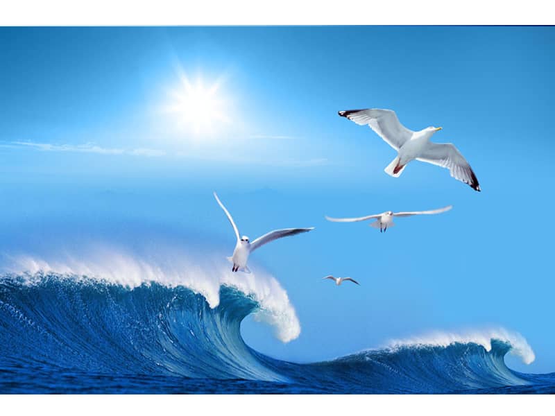 花城版二年级音乐下册第9课大海ppt课件10ppt