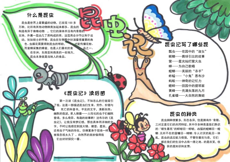 昆虫记小报手抄报模板下载docx