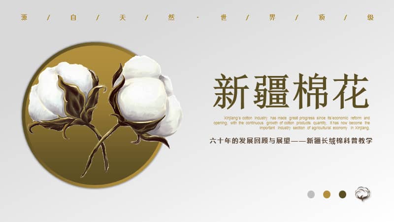 新疆棉花科普教学课件ppt模板下载pptx