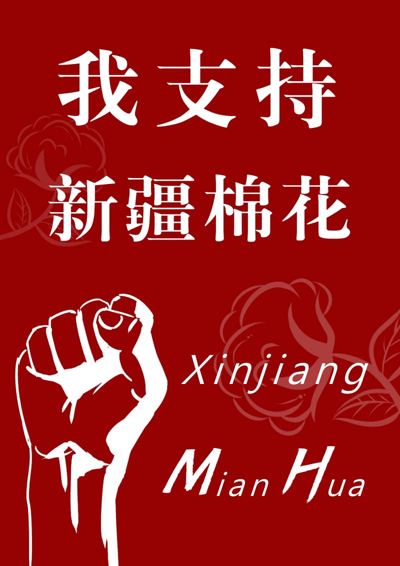 我支持新疆棉花宣传海报docx