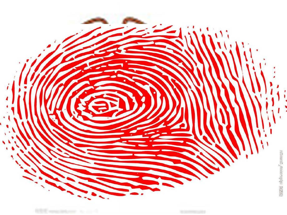 幼儿园课件中班艺术美术有趣的指纹ppt课件ppt