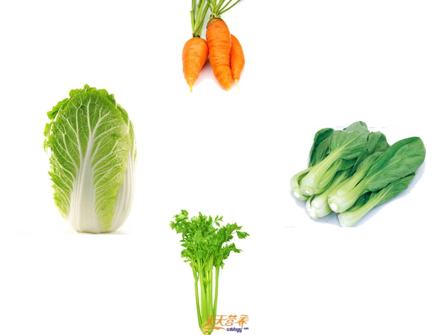 幼儿园认识蔬菜ppt课件ppt