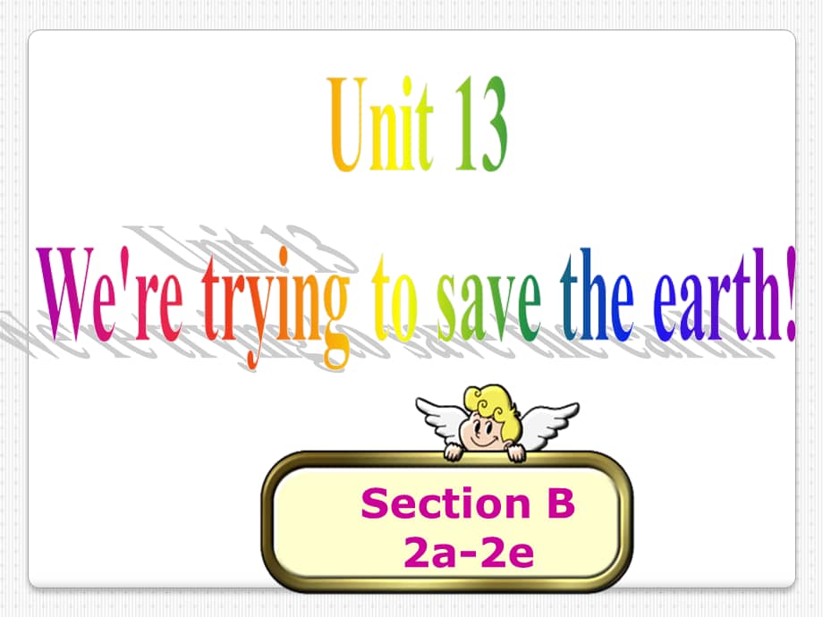人教版新目标九年级英语unit13weretryingtosavetheearth第5课时