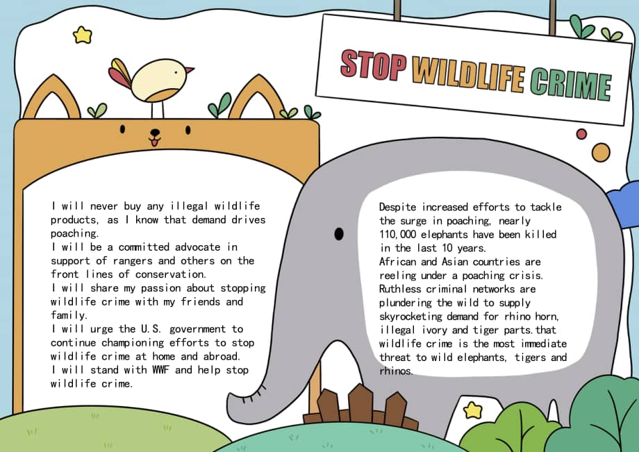 保护动物英文手抄报模板下载docx