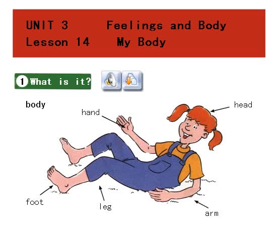 unit 3 feelings and body lesson 14 my body.avi