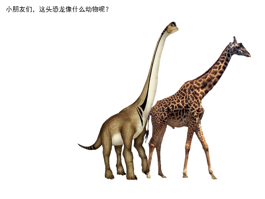恐龙时代幼儿园ppt课件ppt