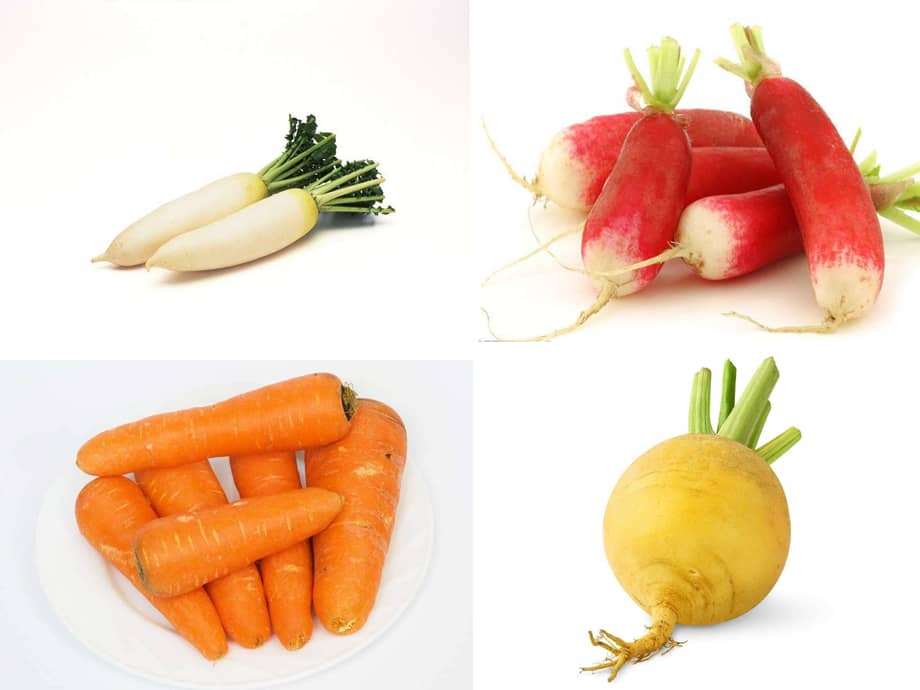 小班科学《认识萝卜》(幼儿园ppt课件).pptx_第2页