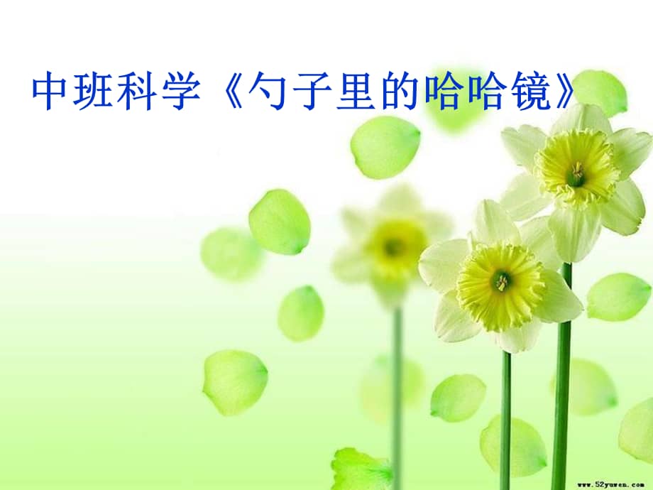 中班科学勺子里的哈哈镜2幼儿园ppt课件ppt