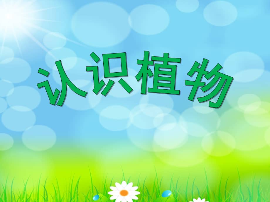 大班科学认识植物幼儿园ppt课件ppt