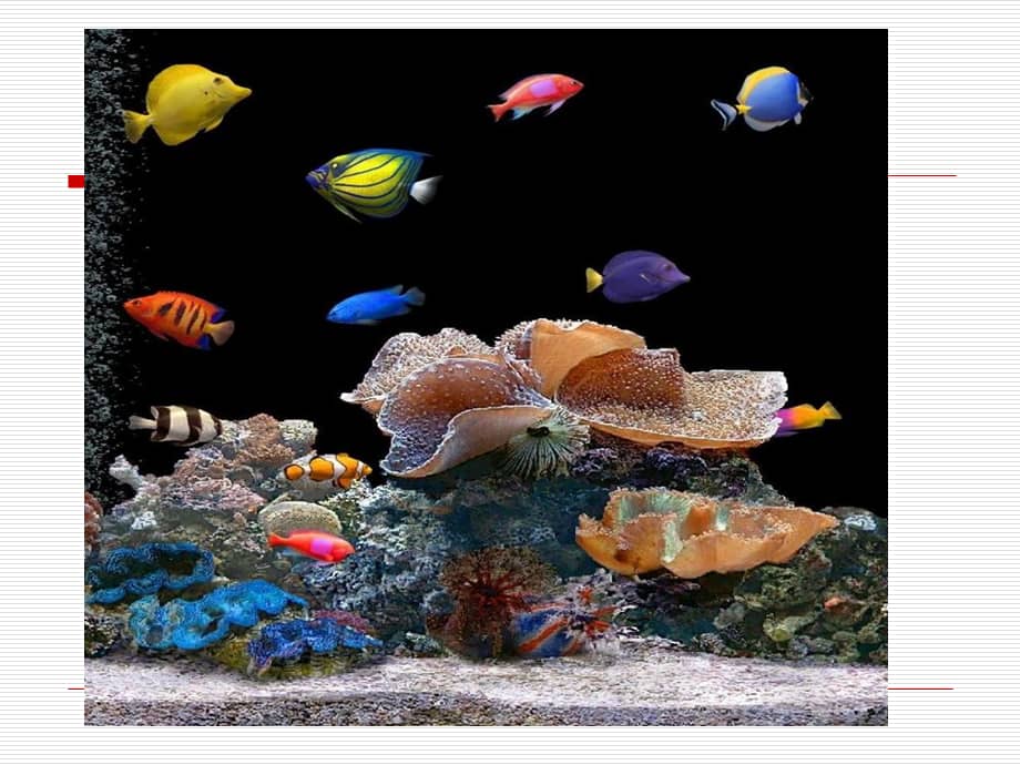 幼儿园儿童大班美术画海底世界ppt课件ppt