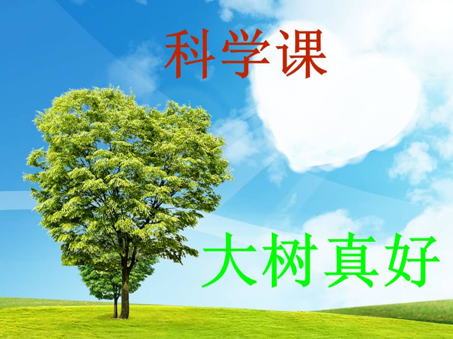 机关幼儿园大班语言大树真好ppt课件ppt