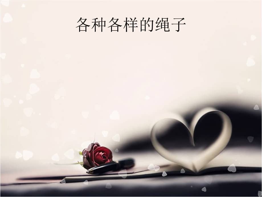 幼儿园大班语言各种各样的绳子ppt课件ppt