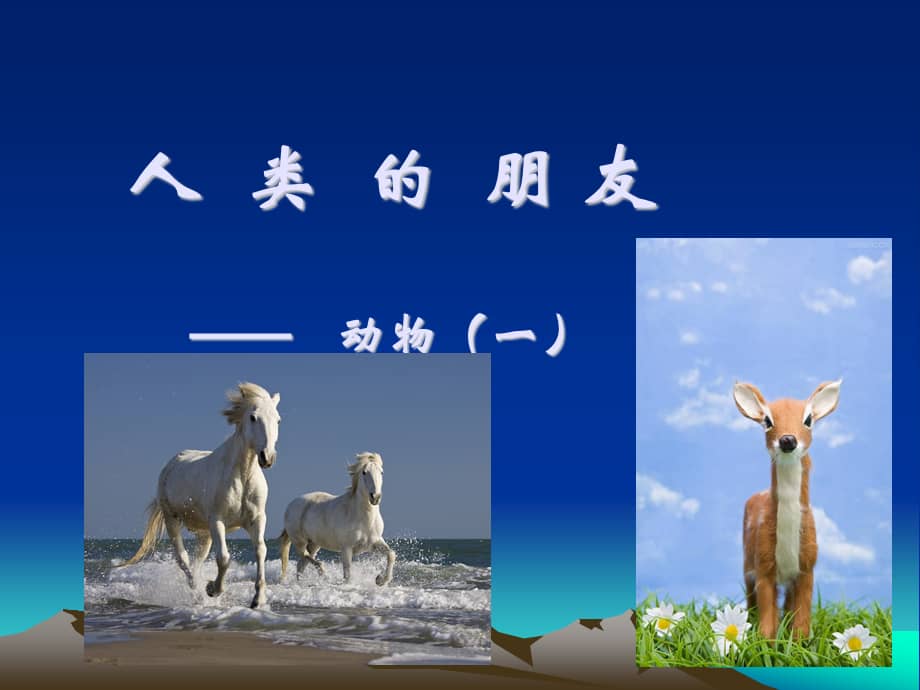 大班社会动物是人类的朋友幼儿园ppt课件pptx