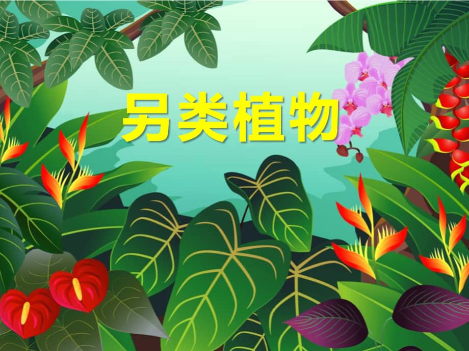 幼儿园大班科学另类植物ppt课件pptx