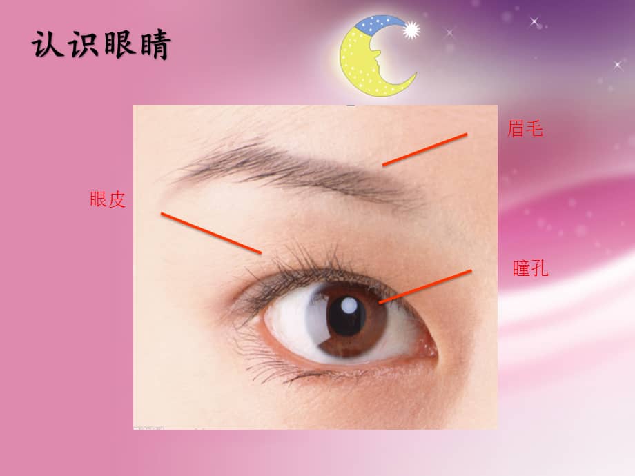 实小幼儿园保护眼睛小班健康02ppt课件pptx