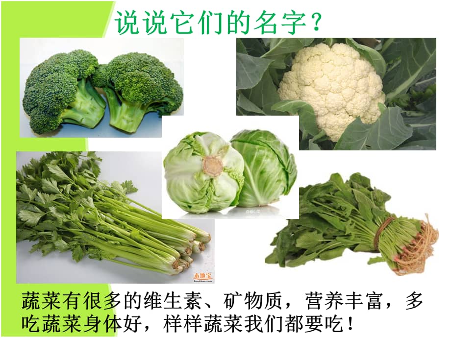 机关幼儿园课小班科学好吃的蔬菜ppt课件ppt