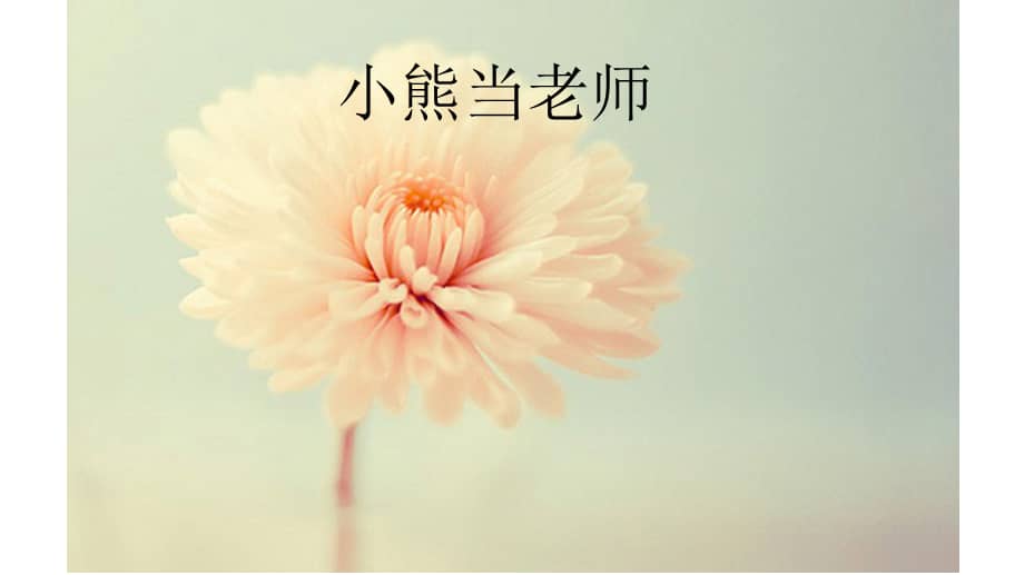 机关幼儿园小班语言小熊当老师ppt课件ppt