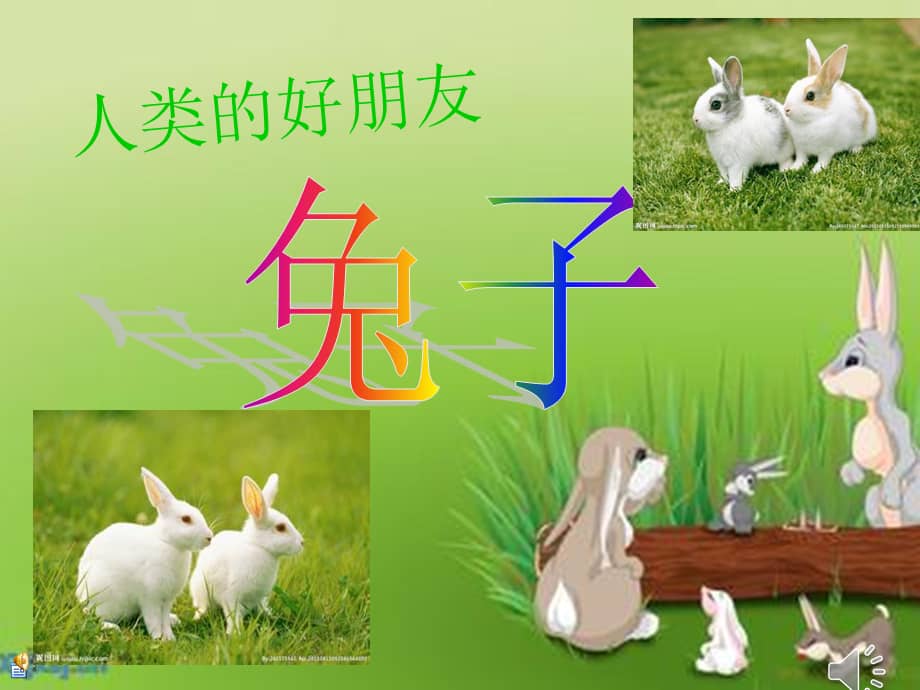 实小幼儿园小班语言可爱的小兔子1ppt课件ppt