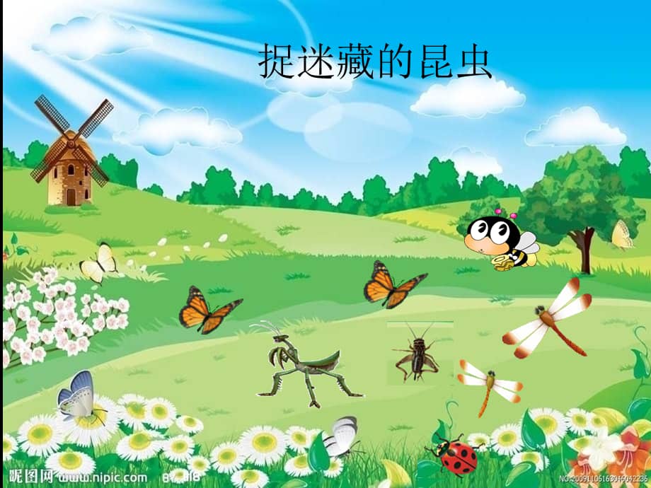 机关幼儿园中班科学捉迷藏的昆虫ppt课件0001ppt