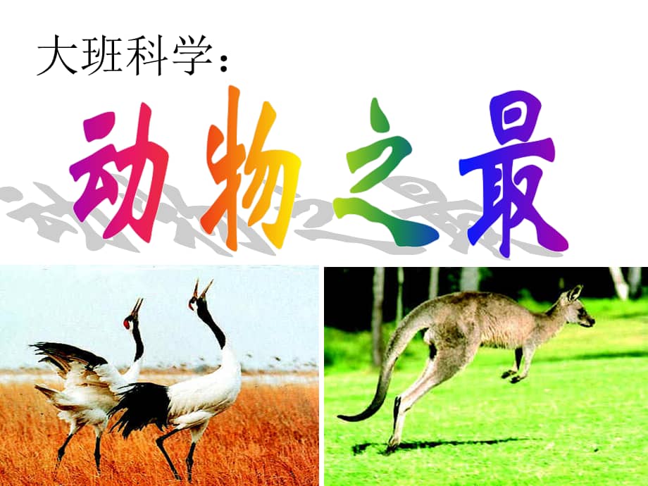 机关幼儿园大班科学动物之最3ppt课件ppt