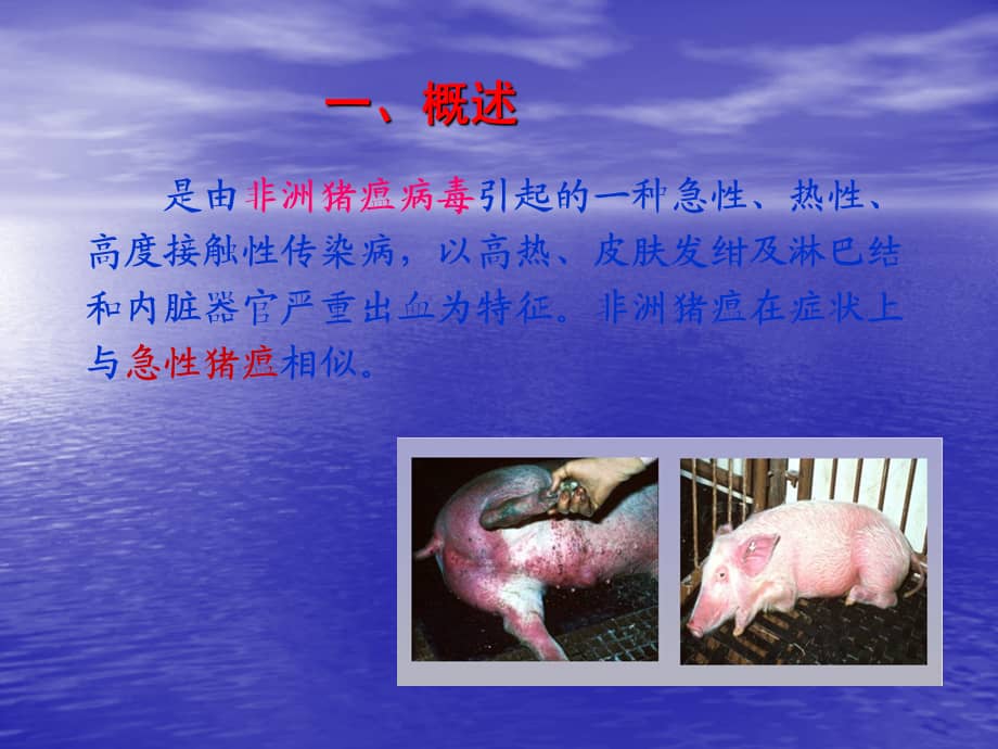 非洲猪瘟病毒及感染ppt课件ppt