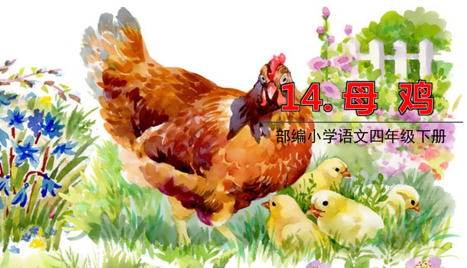 部编版四年级语文下册14《母鸡》 授课课件(40页).ppt_第1页