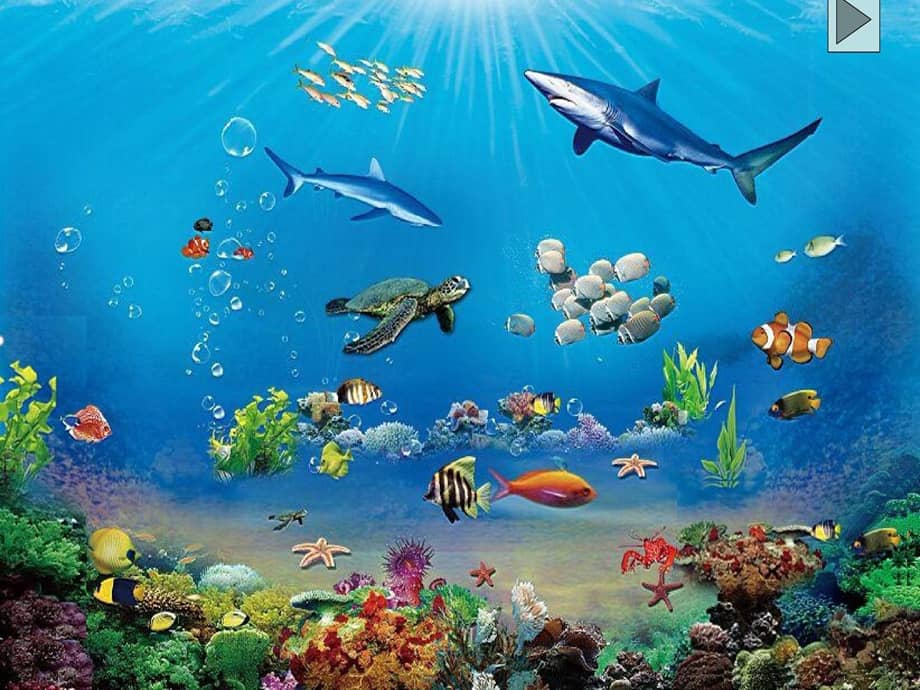 部编版三年级下册语文23海底世界课件ppt20页pptx