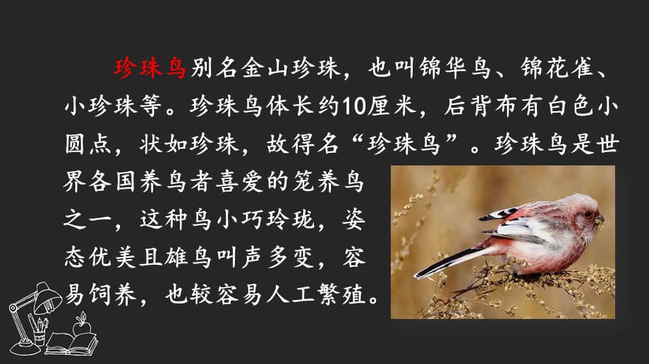 部编版五年级上册语文4珍珠鸟课件23页ppt