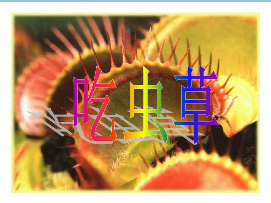 人美版小学二年级美术下册第2课吃虫草课件ppt