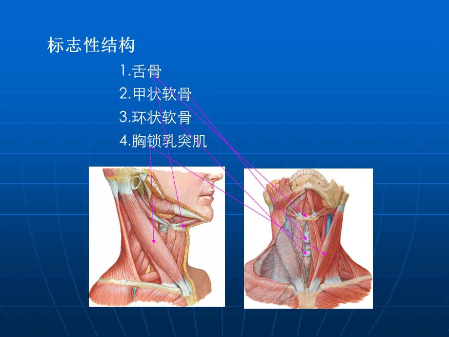 颈部淋巴结分区75870课件.ppt_第2页