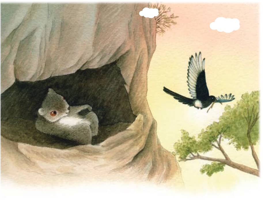 统编版二年级上册语文13寒号鸟课件共19页ppt