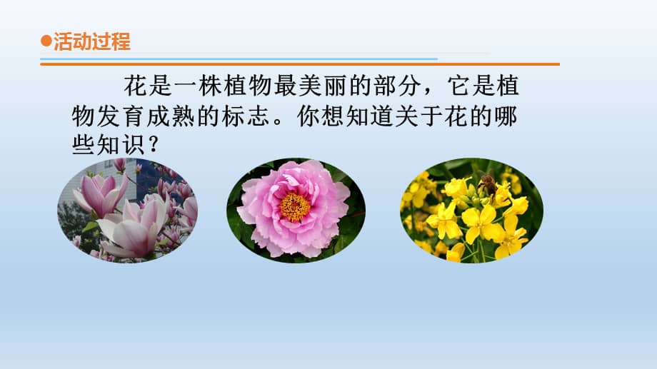 青岛版六三制三年级下册第四单元第11课植物的花教学课件2020新版ppt