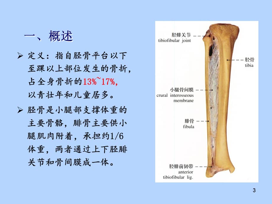 胫腓骨骨折患者的个案护理ppt课件pptx