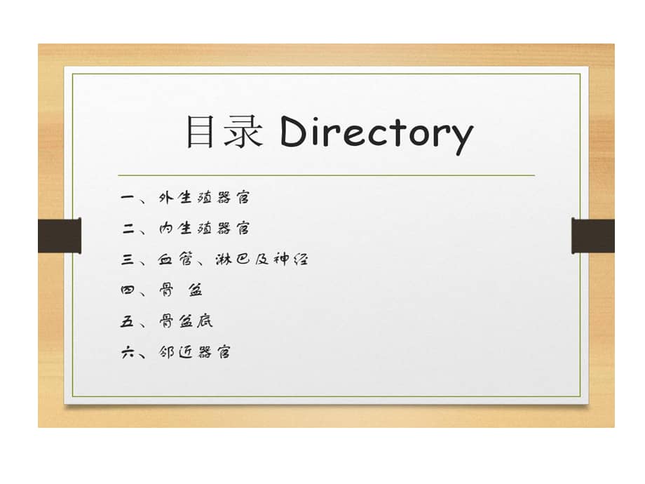 妇产科学女性生殖系统解剖64页ppt课件.ppt_第2页